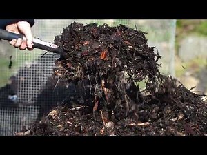 Why Composting is Awesome