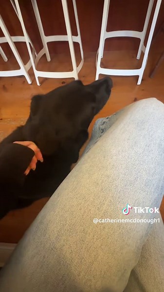 Short Film Day in College: A Student's Experience