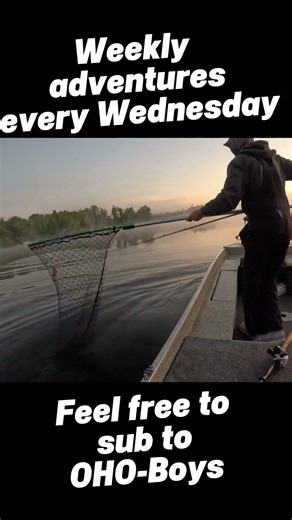 Musky on for Michael, 2025 highlights#muskyfishing #musky