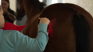 朗 NEW KidVision Pre-K virtual field trip! ‍ Join Miss Penny at Farmers' Camp to learn about farm animals, how they live, what they eat, and how to take care of them. Watch: https://youtu.be/XLyOUuTT774 KidVision is made possible in part by the Children's Services Council of Broward County Florida. Special thanks to Broward County Parks. | KidVision Pre-K | Facebook