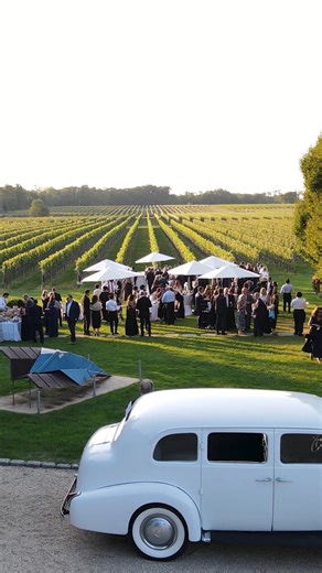 Delia Studios | NJ Wedding Videography on Instagram: "@bedellweddings is a vibe. Located on the North Fork of Long Island, this vineyard produces its own wine right on the property, and being able to host a wedding here is incredible. The setting, the scenery, and the overall atmosphere make it a standout venue. @lexiiiibell and Jack had a beautiful wedding here with their friends and family, and we were lucky enough to capture it all on film. Vendor Team @classiceventsnyc @boshimphoto @illumina