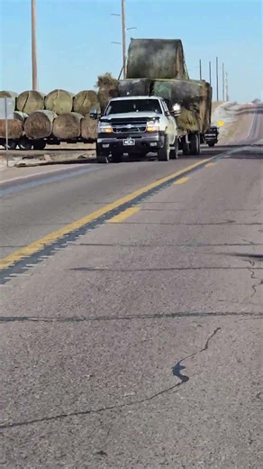 Two loads of hay moving out #hay #haul #farming