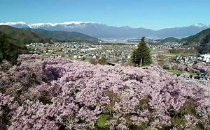 432HZ的声音是能让人体达到极度舒适的频率，放下手中的工作，一起冥想，放空，疗愈；纯音旋律：累时就歇一歇，随清风漫舞；烦时就静一静，与花草凝眸