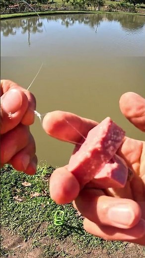 Mortadella bomb? A foolproof bait for any fishing trip! #fishing #fishingtrip #fishingtrip #tamba...