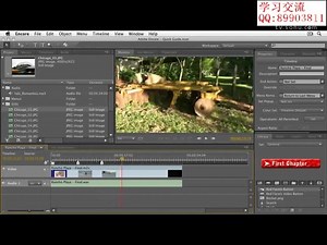 Adobe Encore CS5视频教程 共103讲03