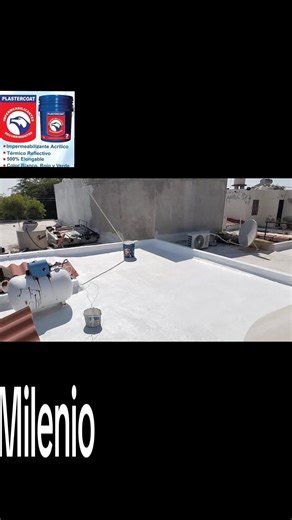 Colonia Nuevo Milenio. Colima.col