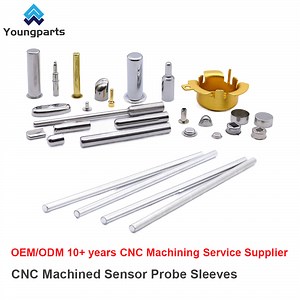 [Hot Item] Youngparts Custom Temperature Sensor Thread Probe Brass Stainless Steel Thermowell