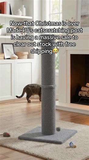 Massive Sale on Cat Scratching Posts After Christmas