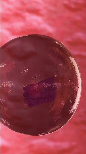 la Bactérie de la Tuberculose : Une Maladie à Connaître