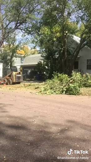 Tree Cutting for Property Maintenance