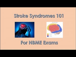 Stroke Syndrome Review 101 for NBME exams