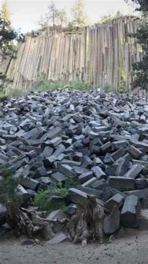 Ansel Adams #wilderness #share #shortvideo #shorts #short #video #shortsfeed #edit #running #pass