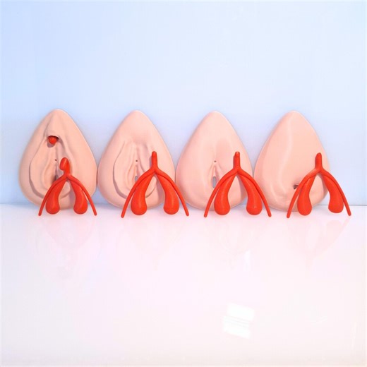FGM Vulva Clitoris Anatomy Model - Detachable, 3D Printed, Multicolor - Etsy Canada