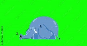 Cartoon blue elephant animation sleep greenbox. Animated character isolated chromakey. Good for any material for kids, adverts, etc...