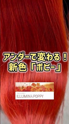【イルミナカラーポピー】アンダー別検証！ #ヘアカラー #イルミナカラー #美容師