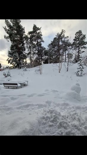 Winter Weather Impact: Snowfall, Wind, and Traffic