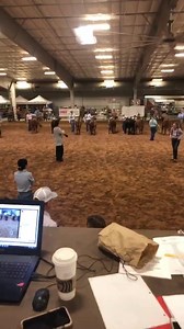🎥 Catch the live stream of the final day of the 2019 JBBA Nationals Show (Heifer Show) on Cattle in Motion’s Facebook page. 🎥 | Junior Beefmaster Breeders Association