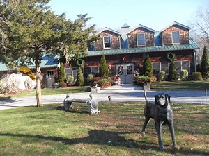 5 Places to Board Your Pets During the Holidays