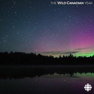 74K views · 207 reactions | "We don't often get a chance to...