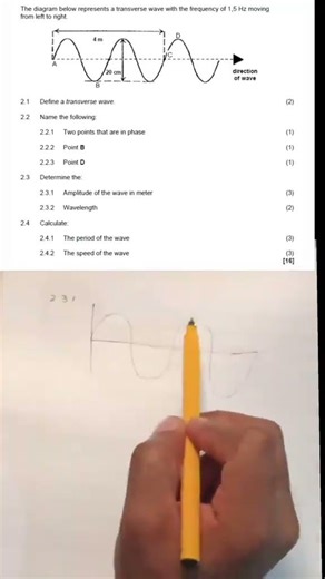 Solve Grade 10 Physics with me today: Determining the Amplitude of a Transverse wave. #physics