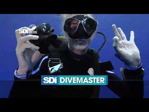 Divemaster Professional Course - Scuba Diving International - SDI