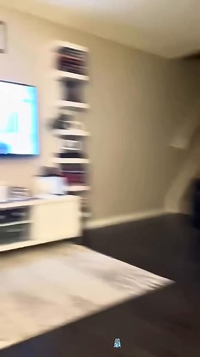 5K views · 156 reactions | afraid from horrer movie | Dog's & thing's | Facebook