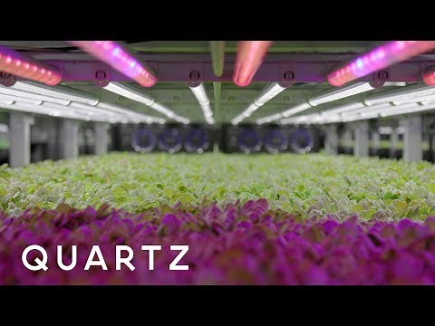 Future of Food: Farming in the age of climate change