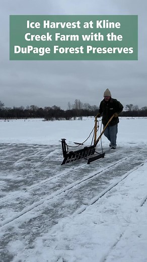 Watch Farmer Keith harvest ice the old fashioned way! Follow Kline Creek Farm for more 1890s historical content. | Forest Preserve District of DuPage County