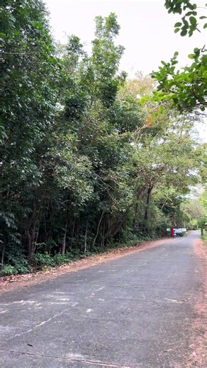 Team IZARC Printing: Creative Solutions for Success