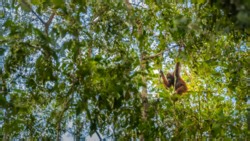 Conservation Imperatives for biodiversity protection
