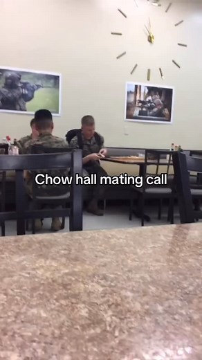 Comment your best Nat-Geo narration for this specimen. 🧭🔋 (TT | garcsig ) | Echelon Energy