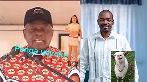 7.5K views · 106 reactions | Mashura Akabhoiliswa Hanzi Korera Irikukonzerwa ne CCC Chamisa- Chinamasa Futi unopera Simba | Penga Udzoke | Facebook