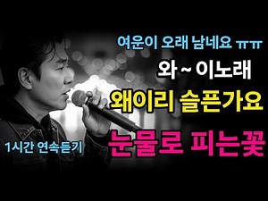 [1시간]이 노래 듣고 울지 않을 수 있을까? 🌼눈물로 피는꽃