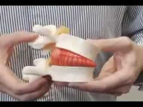 Robin McKenzie's Treat Your Own Back