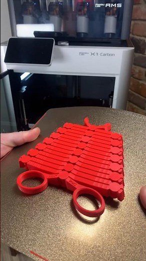 Bambu Lab X1 Carbon Perfect Print