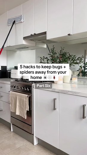 Say goodbye to bugs spiders around your home 🕷️🕸️🪳 here are 5 more top requested tips to keep your home bug-free. Use discretion before using essential oil around pets - you can switch essential oil for white vinegar which also works to repel insects ♥️ 1. Add peppermint oil before washing floors and cupboards to repel crawling insects like cockroaches bugs 2. Clean under fridge dishwasher to repel bugs rodents 3. Make bay leaf and clove scent bags to repel moths from your wardrobes 4. Place 