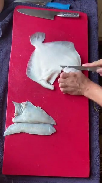 Filleting the best eating fish in the ocean #turbot #filleting #fishmonger