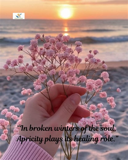 Friends_academy | “Sometimes, all we need is a little apricity — warmth in the coldest moments.” Word of the day : Apricity Pronunciation: 👉 uh-PRIS-i-tee... | Instagram