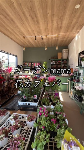 "小竹駅ロータリー前の花カフェ居酒屋オープン" "ガーデンmamaの花カフェバー" 開業に2年ほどかかりました😭 お花屋さんと併設して カ...