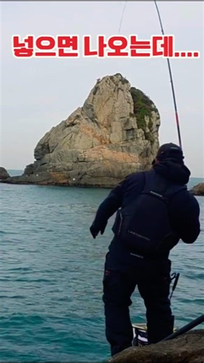 거문도 벵에돔낚시 #갯바위낚시