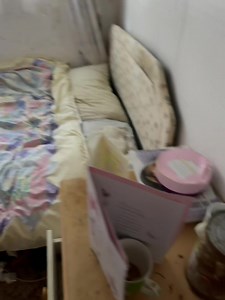 167K views · 4.9K reactions | Walk around all these abandoned cars with us. Keep an eye out for the house also. | Buried relics | Facebook