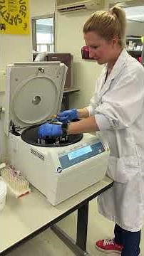 Day in the Life of a Medical Laboratory Technician