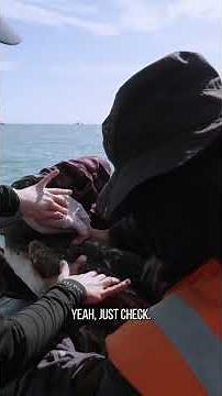 A Second Pelican Tangled in Fishing Gear | Sea Shepherd Rescue (Part 2 of 2) #wildliferescue