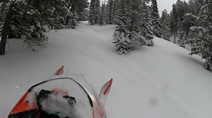 4.8K views · 61 reactions | This one is for our Arctic Cat -...