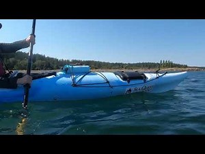 Day Kayak Tour - Sea Quest Kayak Tours - San Juan Islands