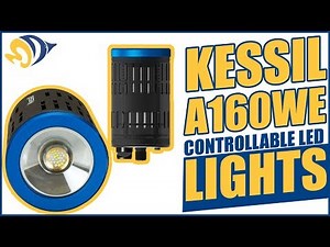 Kessil A160WE Controllable LED Lights: What YOU Need to Know
