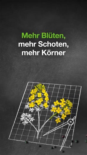 Architect® - Ihr Bauplan für wachsenden Erfolg