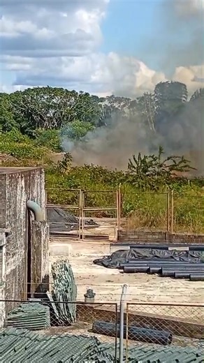 Iniridaenvivo 🚨 #LoÚltimo El cuerpo de Bomberos Voluntarios Inirida se encuentra atendiendo un incendio forestal registrado en la piedra de libertadores. | Iniridaenvivo