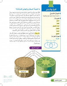 ما أهمية الجذور والسيقان للنباتات؟  عين2022  - عمليات الحياة في النباتات - العلوم 1 - سادس ابتدائي - المنهج السعودي