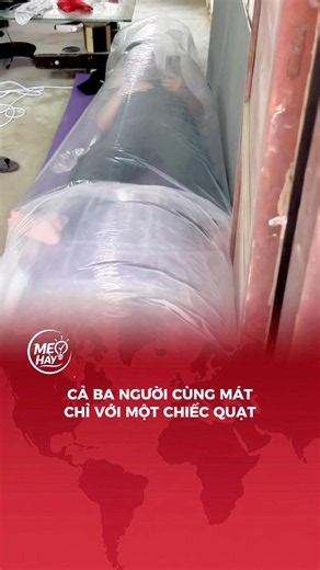 Một cái quạt mà đến tận 3 phòng dùng chung #meohay #quat